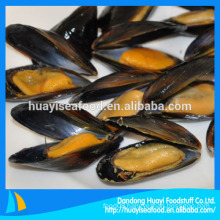Mussel With Shell